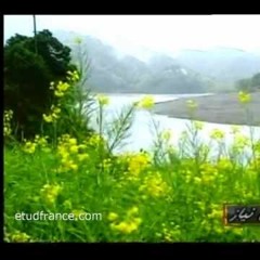 نیایش - ساعد باقری