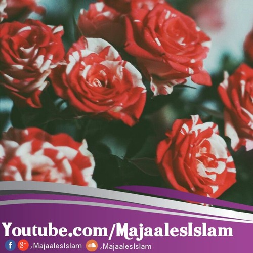 قصة وفاة أم المؤمنين عائشة رضي الله عنها - قصة مؤثرة يرويها الشيخ نبيل العوضي