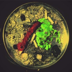 We Are Steel Dick Spiderweb Shooting Motherfuckers