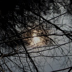 Such Great Heights duet cover