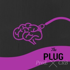 Plug