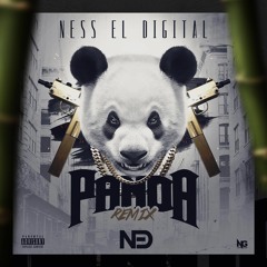 Ness El Digital - Panda