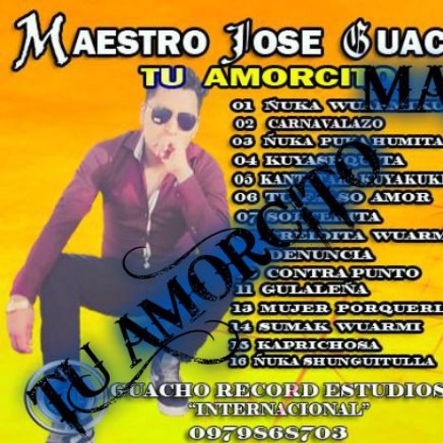 Mezcla Maestro jose guacho Exitos 2016
