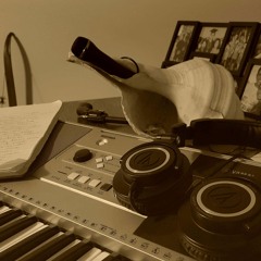 DaydreamsOfNightThrillz