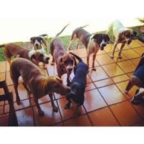 Deep Vibe Minimix #2