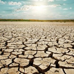 The Drought (feat. Milan Trujillo)