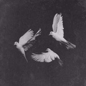 Thebirds