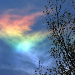 Rainbow Fires for piano trio