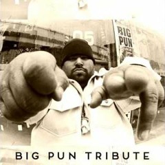 Big Pun - You Aint A Killer - TempesT Remix