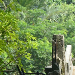 Aniket Prantor (অনিকেত প্রান্তর)