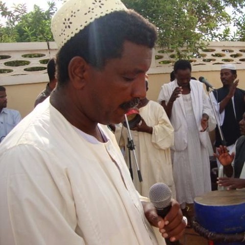 دلوكة البشري جاد السيد