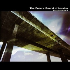 The Future Sound of London,Banco de gaia, Phutureprimitive,Lemon Jelly, Solar Fields