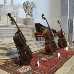 Violincello X