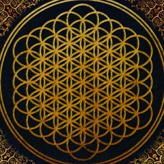 Bring Me The Horizon - Can you see my heart (Kai Smith Remix)