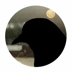 B-Ju - Spiders