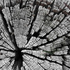 morri & Chris Gebert, 5h MicroHouse back2back, Vinyl only