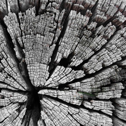 morri & Chris Gebert, 5h MicroHouse back2back, Vinyl only