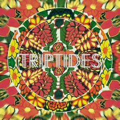 Triptides - Hideout