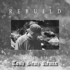MOL53 - REBUILD TOSH BEATZ REMIX