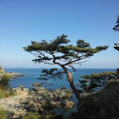 에스프레소 (Espresso)