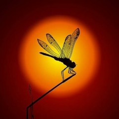 Blatantly Balearic 2