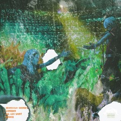 WARDIZZLE - MONEY LONGER (LIL UZI VERT REMIX)