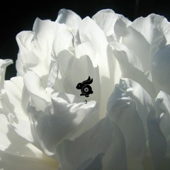 lwkylky - Flying With A Jetpack