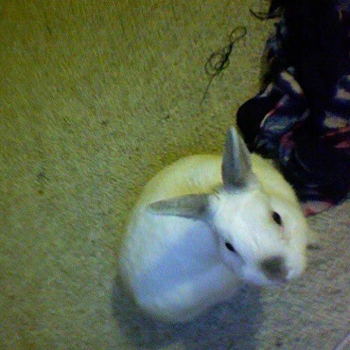 Someone Please Pay Me For This Beat