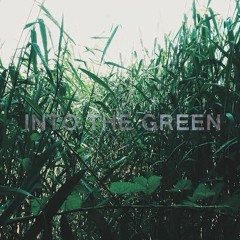 into the green - ANETT / MARKUS PALO