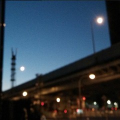 福和橋 FuHo Bridge (2016)