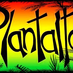 Policia Caminera-Plantalta