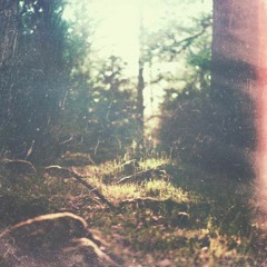 sun yehoshua - secret (free DL)