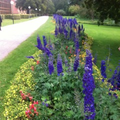 Save The World Today