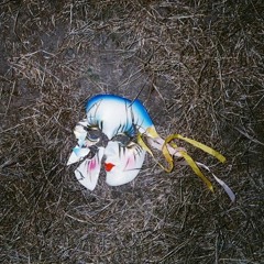 Bailarina (Burning in my soul Mix)