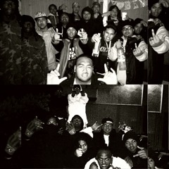 VATO X STAMPKAMPREEK