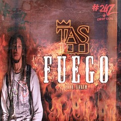 Tas100 - FUEGO