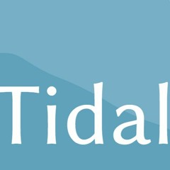 Tidal Live Coding Study #1