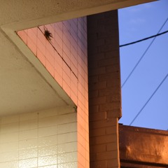 Calm The Fuck Down And Think It Through