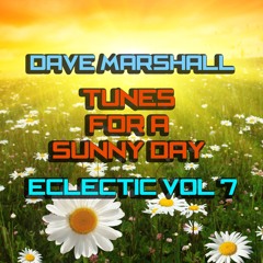 Dave Marshall - Oldskool Mix - Eclectic Vol 7 Tunes For A Sunny Day