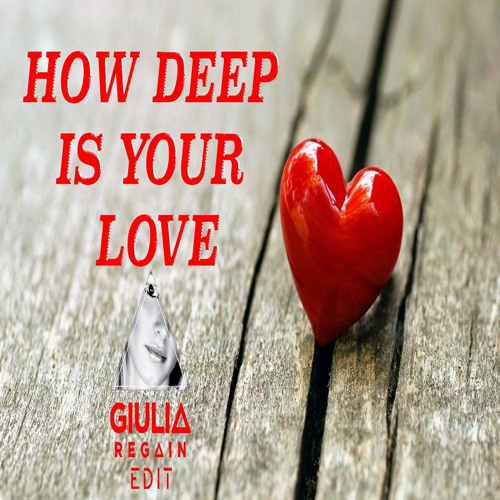 Calvin Harris-How Deep Is Your Love (Giulia Regain Edit)