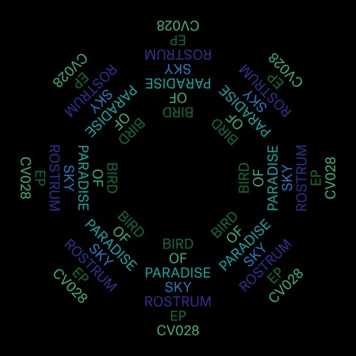 PRÈMIÉRE: Bird of Paradise - Sky Rostrum [Clouded Vision]