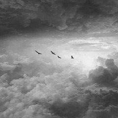 حُزُن ياطيرْ بتغَنّي