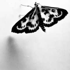 Hiraeth