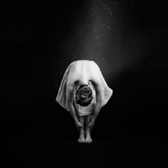 Lowering The Head- Myth of Core Stability Workshop