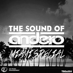 The Sound Of Andero - Episode 004 [Miami Special]