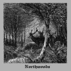 Northwoods