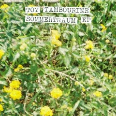 Toy Tambourine - I'm A Sucker For A Hello