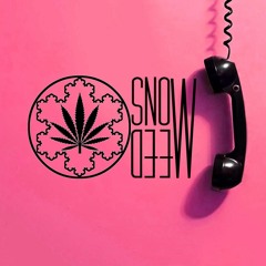 SnoweeD - Wait (Original Mix)