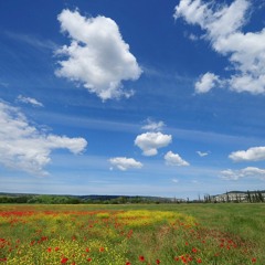 Axe-Fx - Strymon Bigsky style