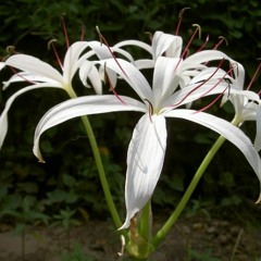 fresℎ. daily 03.20.2016